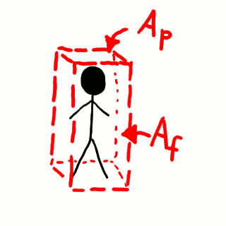 Geometría simplificada del cuerpo humano.