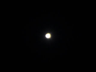 Venus.