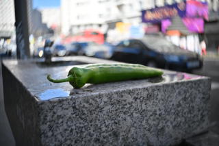 Fotografía de una fuente con un pimiento encima.