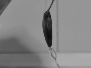 Chorro de agua que sigue la curvatura de una cucharilla.