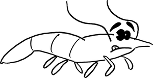 Dibujo de una gamba.