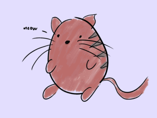 Dibujo de un gatito.